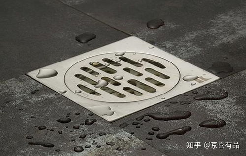 卫生间反味是什么原因 教你几招轻松解决