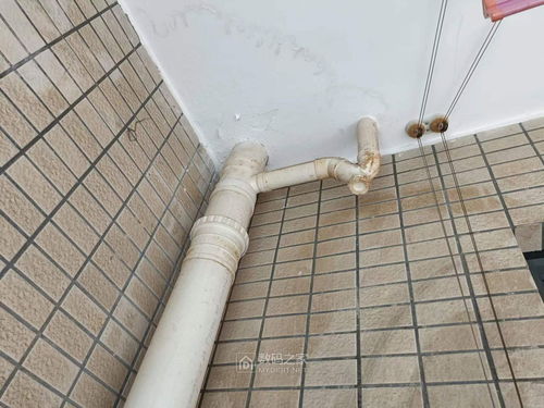 阳台pvc排水管 u形回水管 被楼下用 发泡胶 堵死了 有没有什么方法解决 能工巧匠